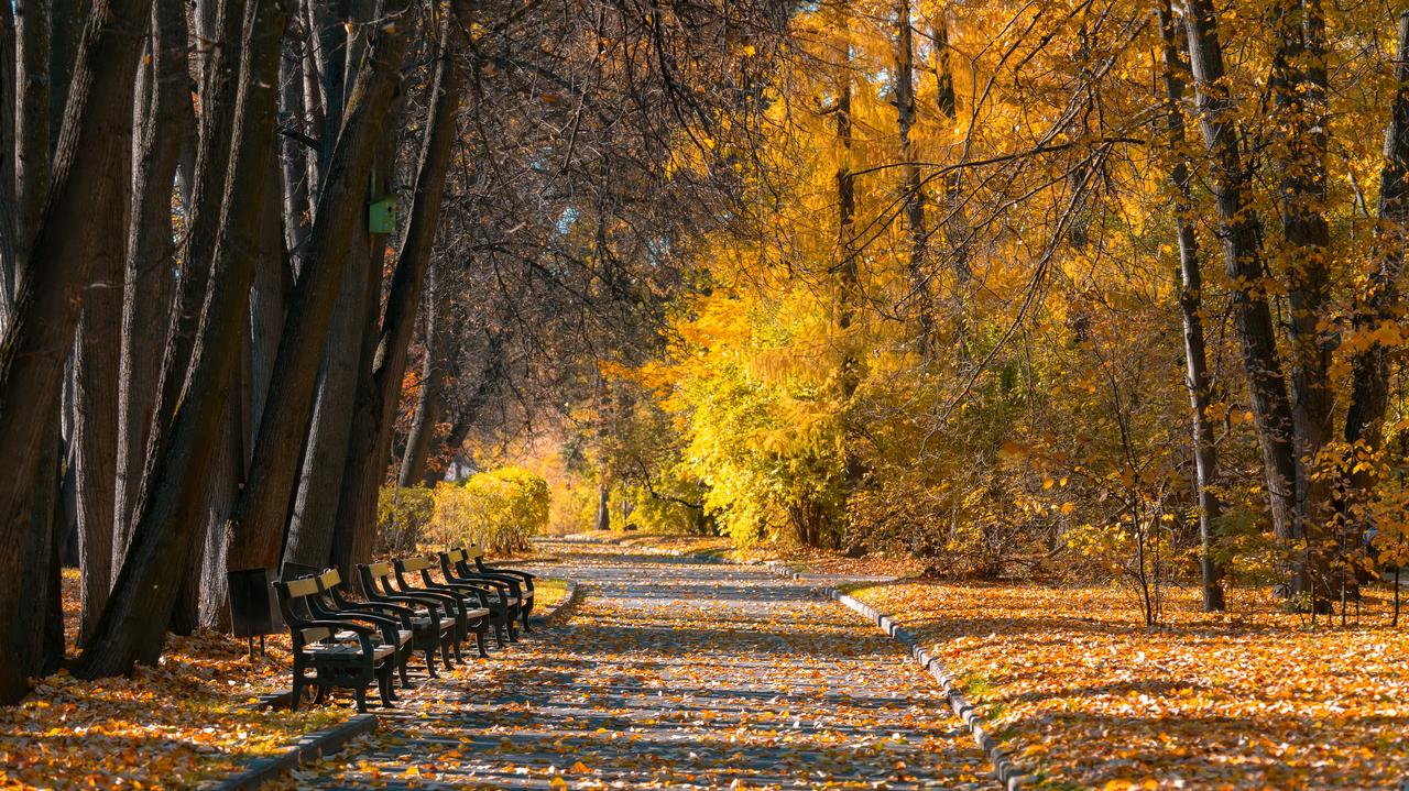 Pogoda na dziś - czwartek, 6.11. Słonecznie, do 14 stopni