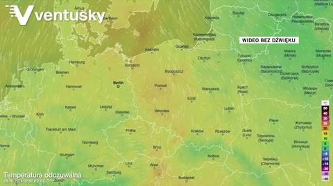 Prognozowana temperatura w kolejnych dniach