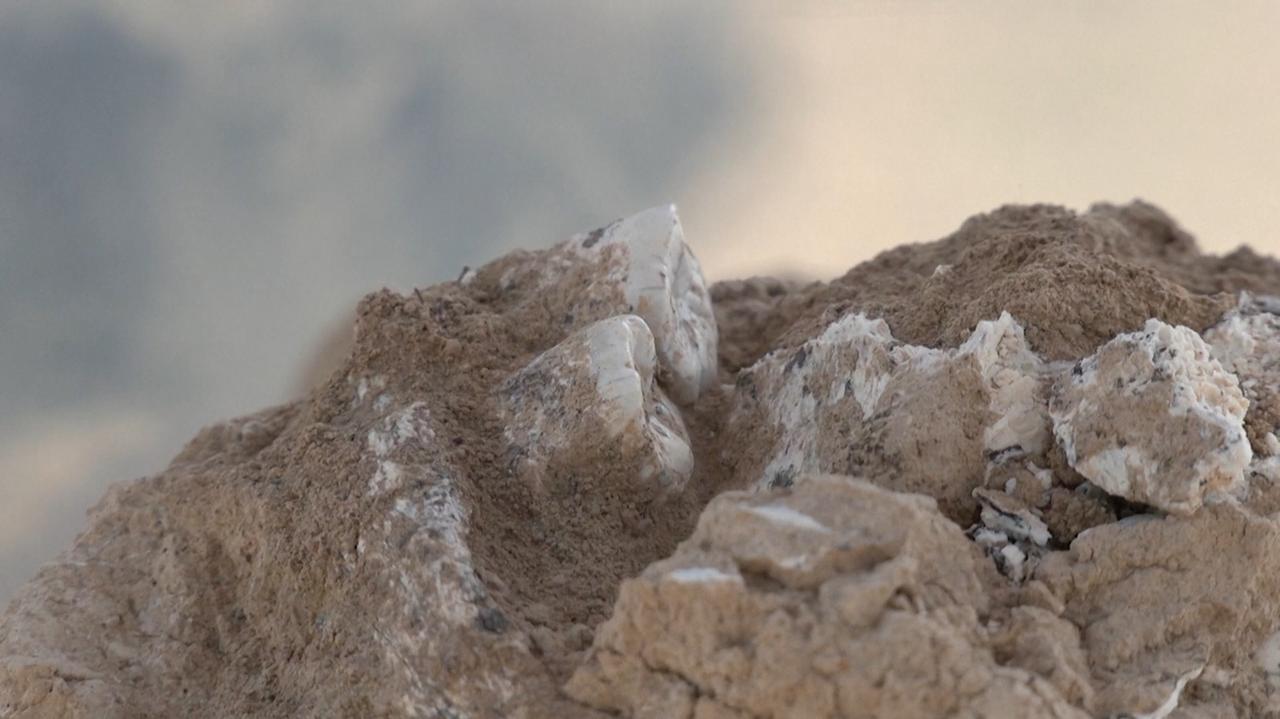 Odnaleźli żuchwę sprzed 1,8 miliona lat