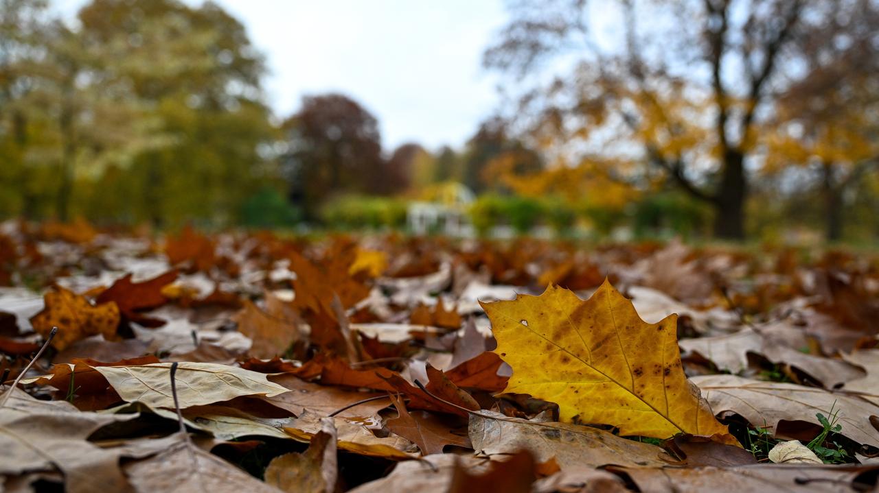 Pogoda na dziś - środa, 15.10. Przed nami pochmurny dzień, lokalnie pokropi