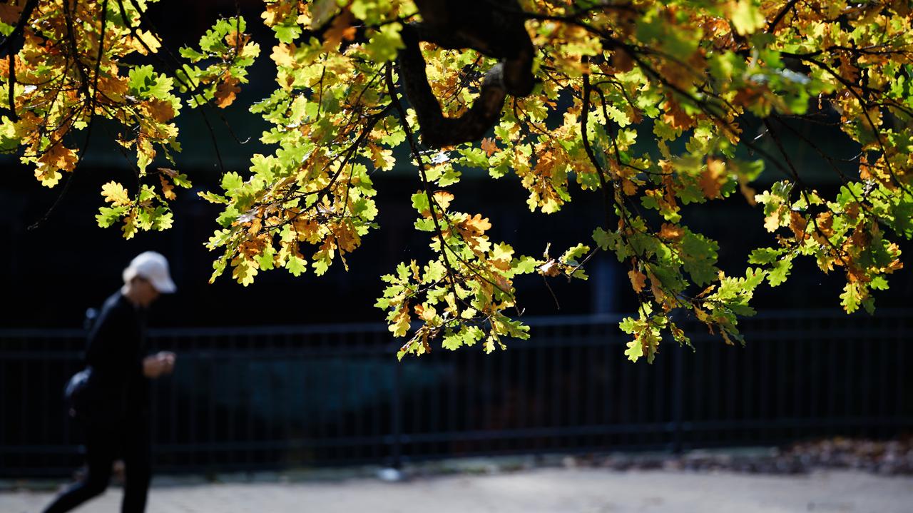 Pogoda na dziś - sobota, 1.11. Prognoza na Wszystkich Świętych. Na termometrach choćby 18 stopni