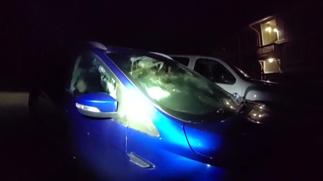 Trąbił klakson. Policja odkryła w aucie zaskakujących gości