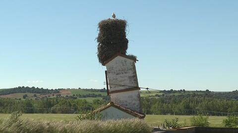 Gigantyczne bocianie gniazdo z Hiszpanii