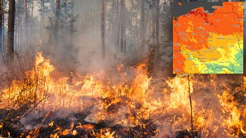 Małopolska to jeden z regionów z największą liczbą pożarów traw w tym sezonie