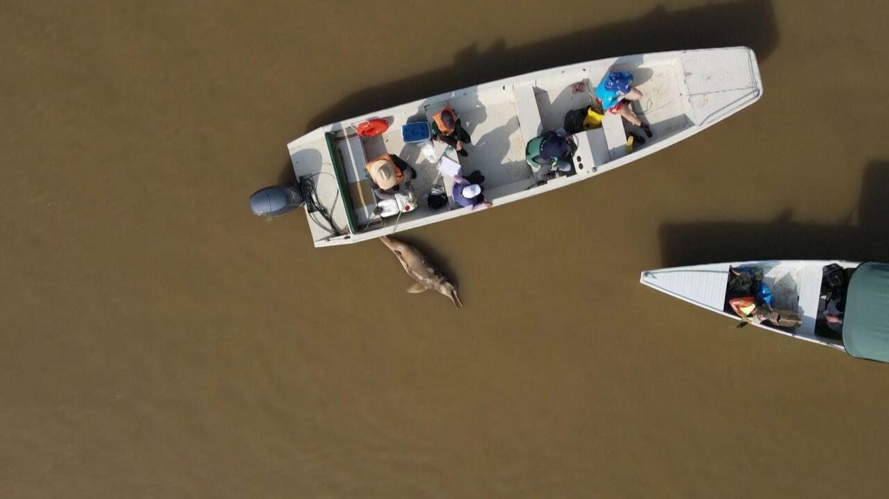 Te jeziora mają stan podgorączkowy. Wyrok śmierci dla zwierząt