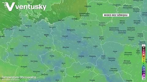 Prognozowana temperatura w kolejnych dniach 