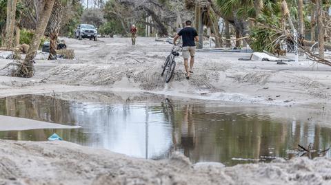 Mięsożerna bakteria Vibrio vulnificus 