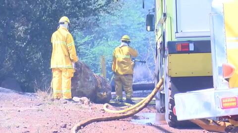 Akcja gaśnicza strażaków na wyspie Maui na Hawajach