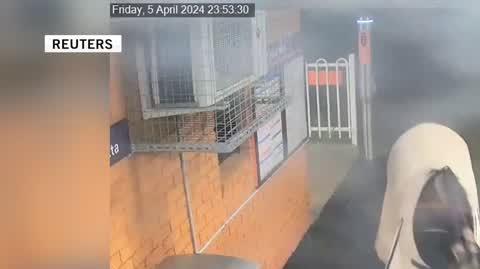 Koń na peronie