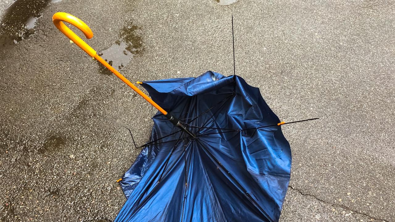 Alert RCB. "Nie przebywaj i nie parkuj pod drzewami"