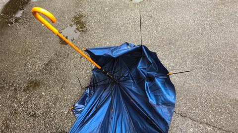 Silny wiatr