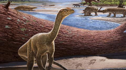 Najstarszy dinozaur Afryki