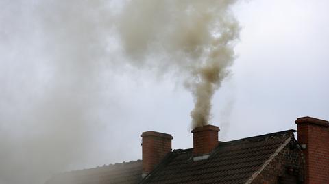 "Jak każdej zimy tak również teraz stężenie smogu w powietrzu rośnie"