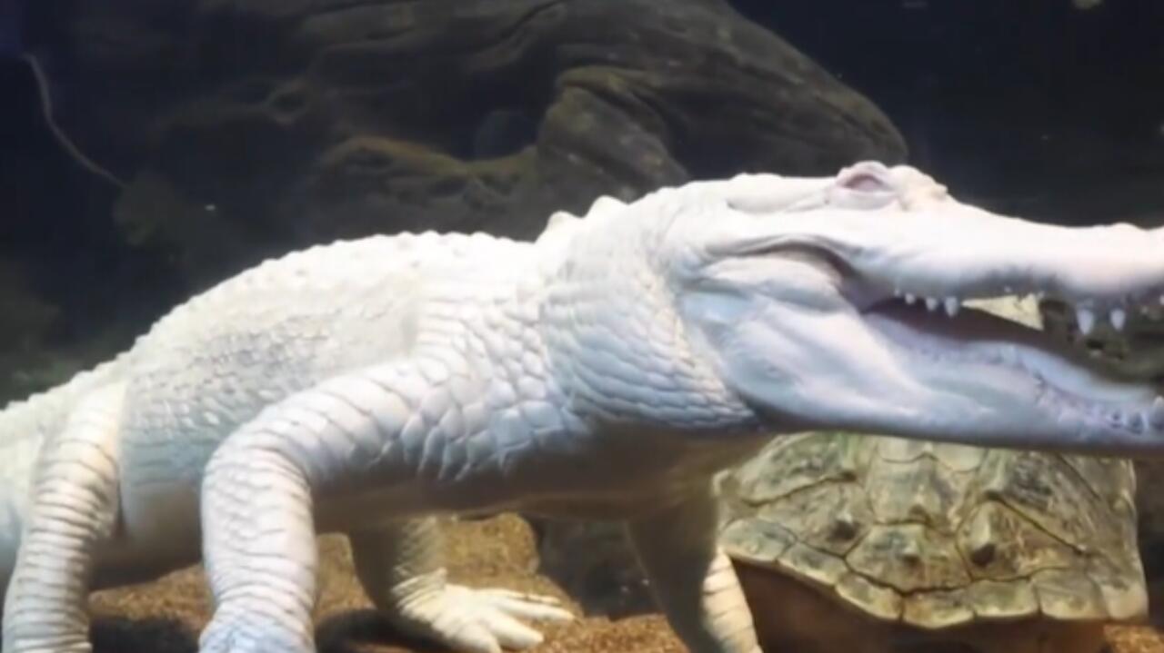 Na wolności mógł zginąć. Właśnie skończył 30 lat