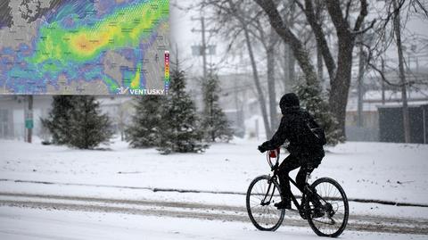 Prognozowana temperatura w kolejnych dniach
