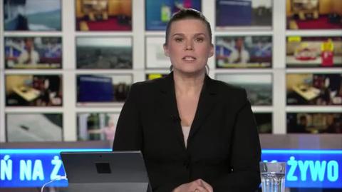 Niedźwiadek zszedł na szlak turystyczny w Tatrach 