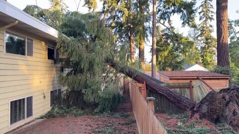 Skutki uderzenia bomby cyklonowej w północno-zachodnie regiony USA