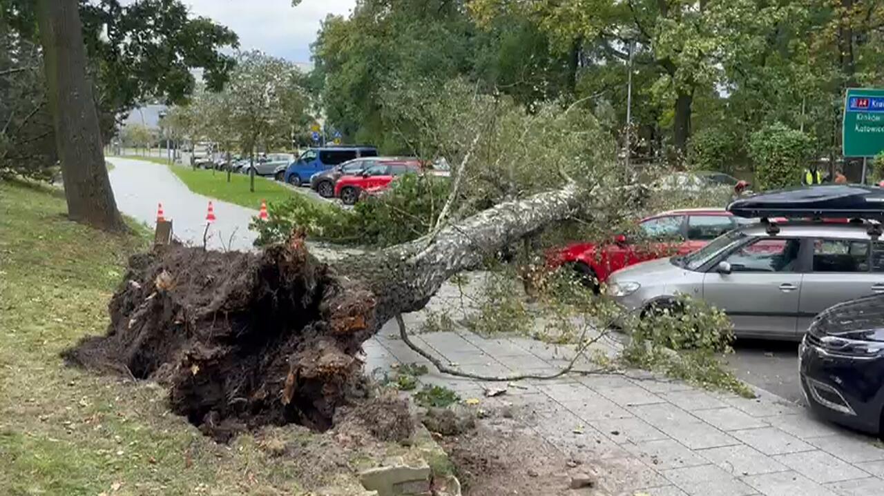 Silny wiatr uszkodził dach i samochody