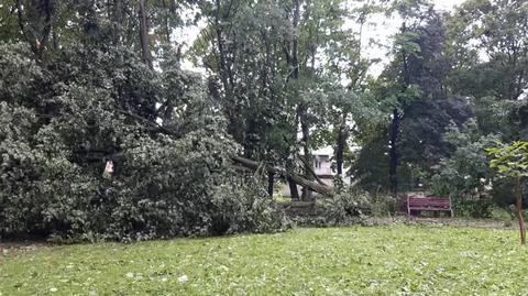 Burza w miejscowości Okrzeja, woj. lubelskie