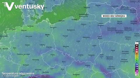 Prognozowana temperatura w kolejnych dniach