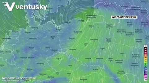 Prognozowana temperatura w najbliższych dniach