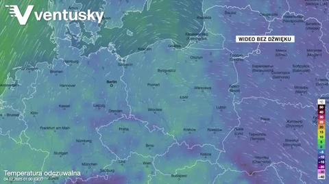 Prognozowana temperatura w kolejnych dniach