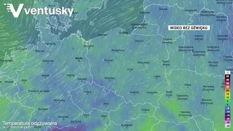 Prognozowana temperatura w kolejnych dniach