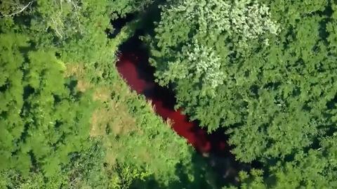 Rzeka zabarwiła się na czerwono