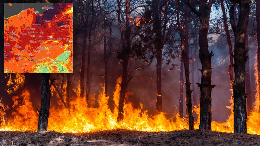 Małopolska to jeden z regionów z największą liczbą pożarów traw w tym sezonie