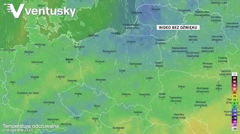 Prognozowana temperatura w kolejnych dniach