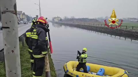 Wilk utknął w rowie