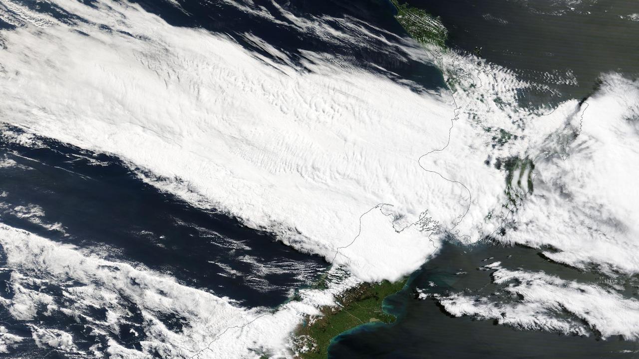 Nowa Zelandia. Znalazła pod drzewem nieprzytomnego mężczyznę. "To mógł być każdy z nas"