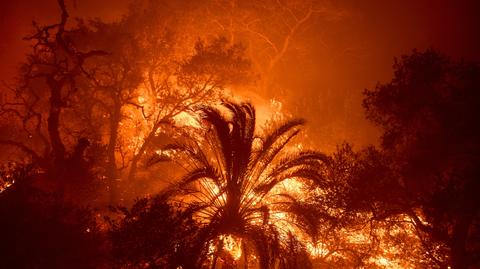 Pożar Franklin Fire w Malibu