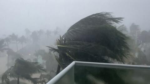 Porywisty wiatr miota palmami na Jamajce