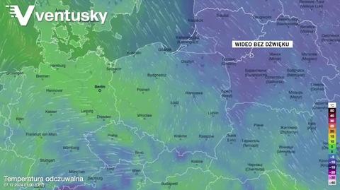 Prognozowana temperatura w kolejnych dniach