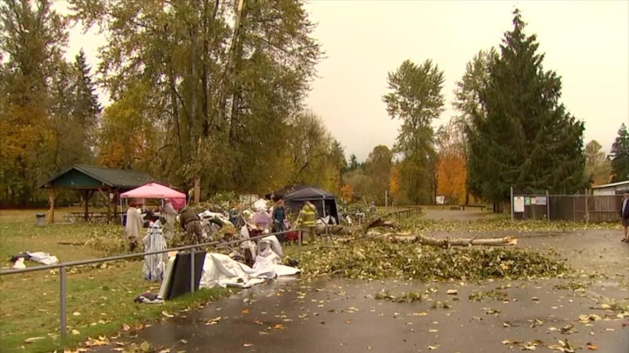 Drzewo runęło na uczestników halloweenowego jarmarku. Nie żyje jedna osoba
