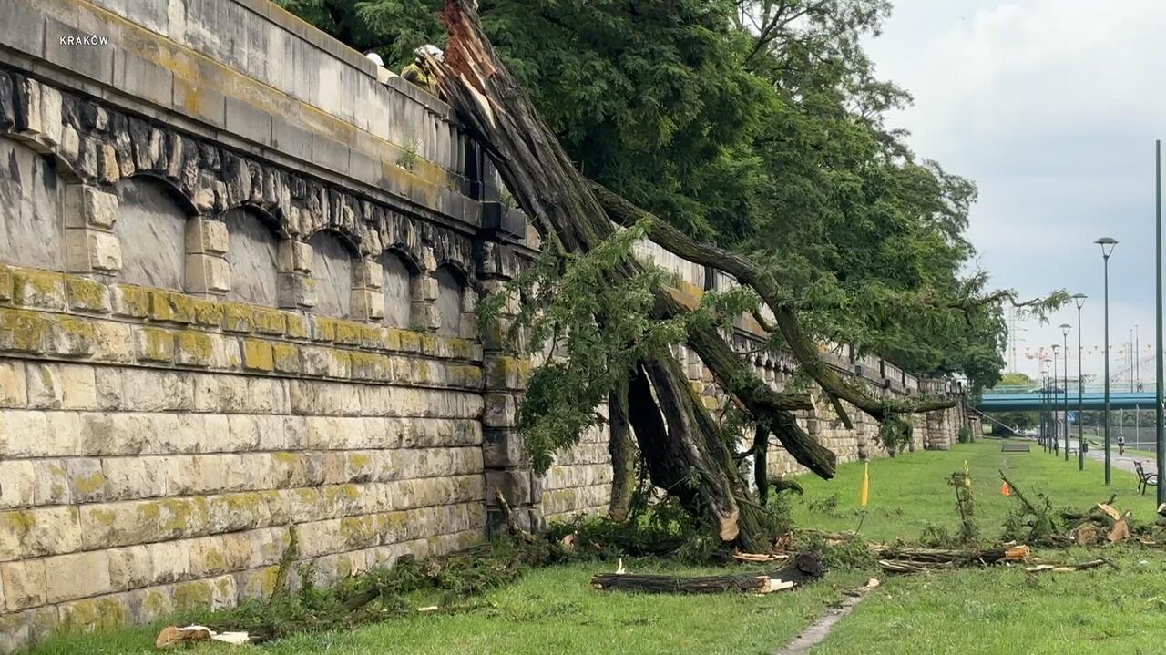 Burza w Krakowie: drzewo uszkodziło mur, Biały Dunajec zalany