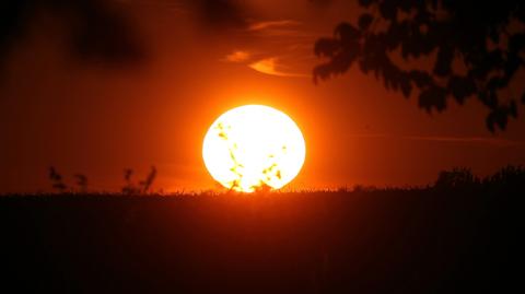 Prognoza temperatury na kolejne dni