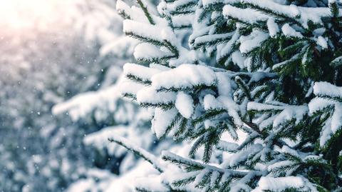 Śnieżyce, zawieje i zamiecie. Trudne warunki na drogach 