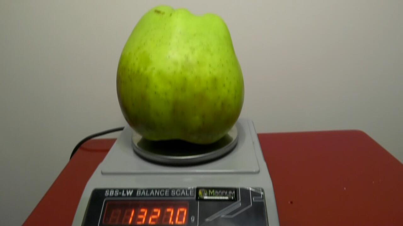 Waży ponad kilogram, może być największe w Polsce