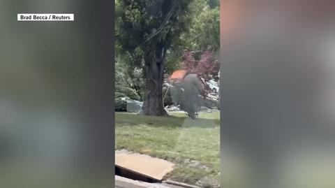 Powódź w Wirginii Zachodniej