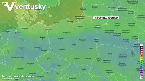 Prognozowana temperatura w kolejnych dniach 