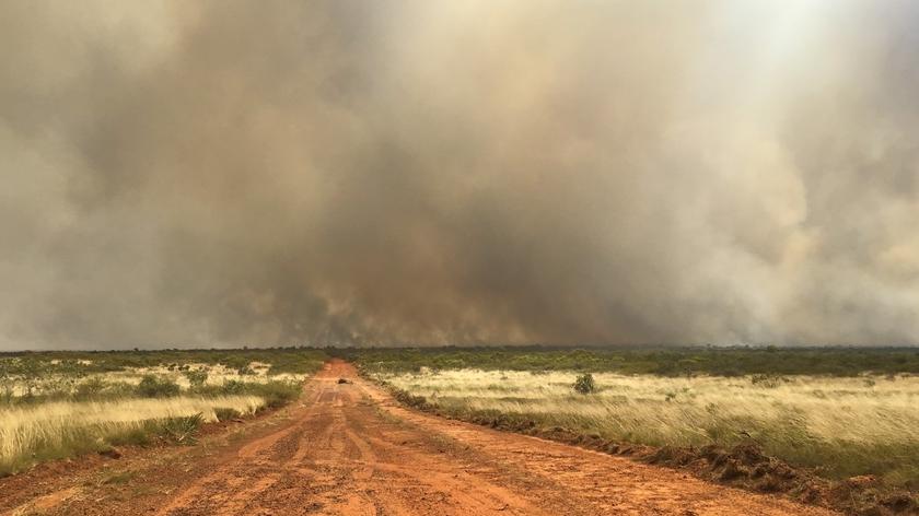 Walka z pożarami buszu na północy Australii