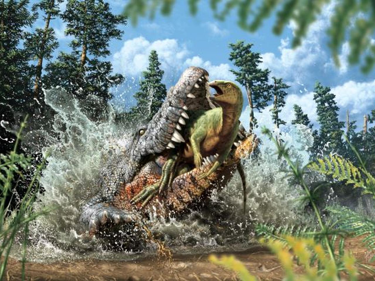 Gdzie latały pterozaury? Paleontolodzy odkryli nowy gatunek latającego gada  - National Geographic