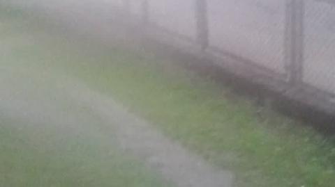 deszcz w Przemkowie