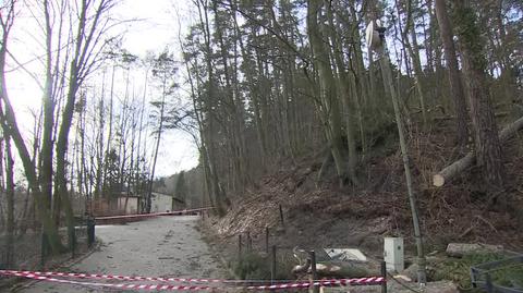 Szkody w gdańskim zoo z powodu silnego wiatru