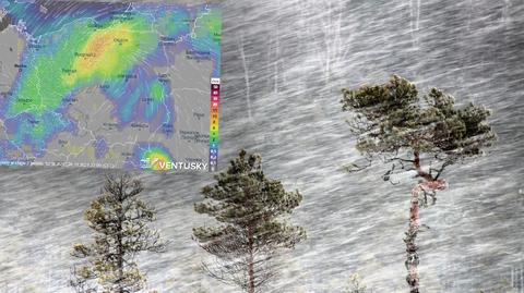 Prognoza temperatury na kolejne dni