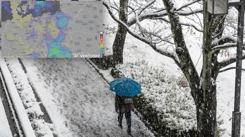 Prognozowana temperatura na najbliższe dni
