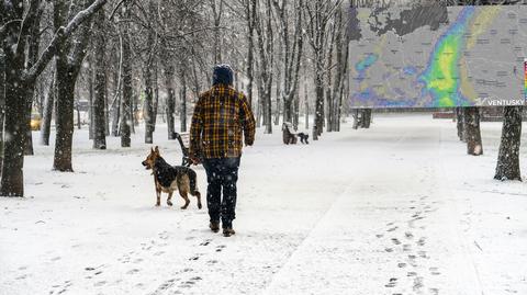 Prognozowana temperatura w kolejnych dniach