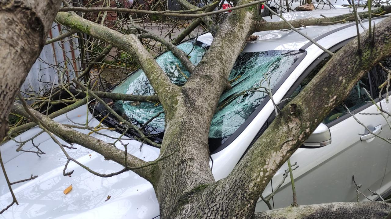 Wichury w Polsce. Drzewa spadały na samochody. Są ranni